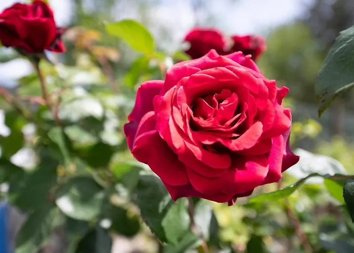 Prázdninový dům Casa Sierra Vistas Picos *